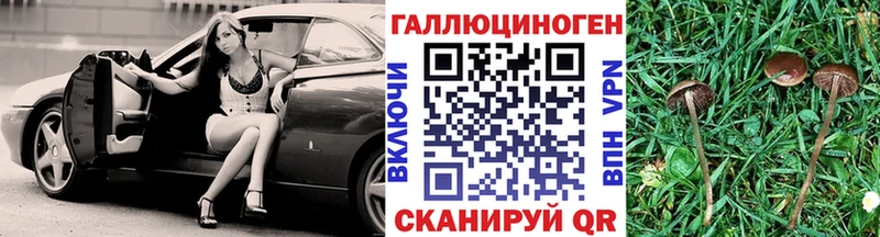 где найти   Малаховка  Псилоцибиновые грибы GOLDEN TEACHER 